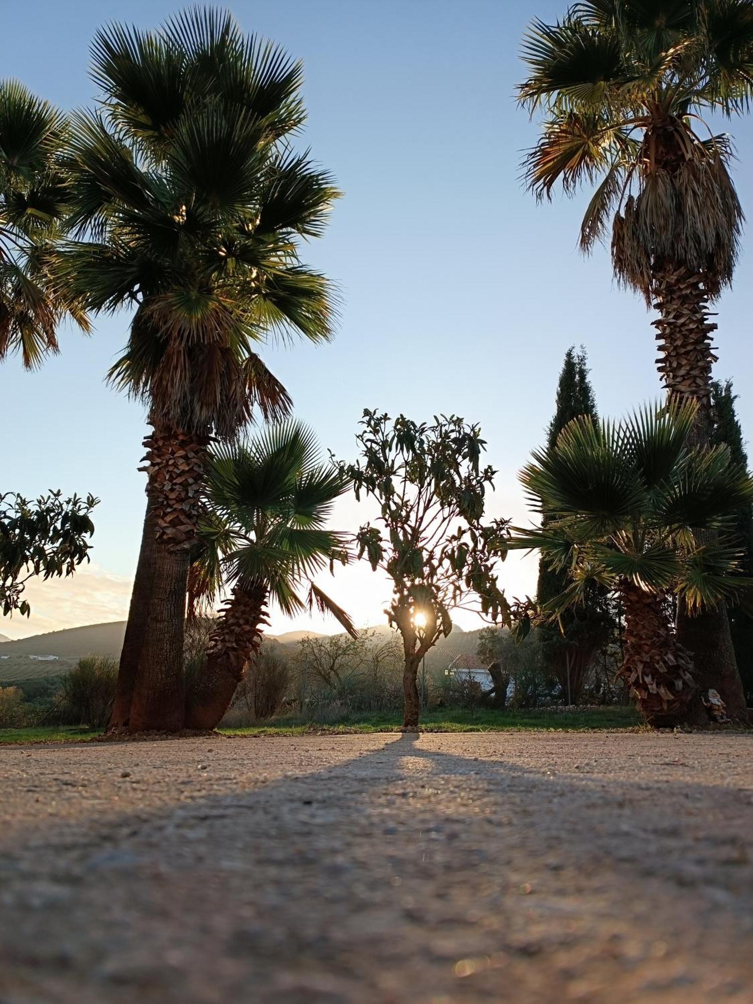 Cortijo Petra Bed & Breakfast Villanueva del Rosario ภายนอก รูปภาพ