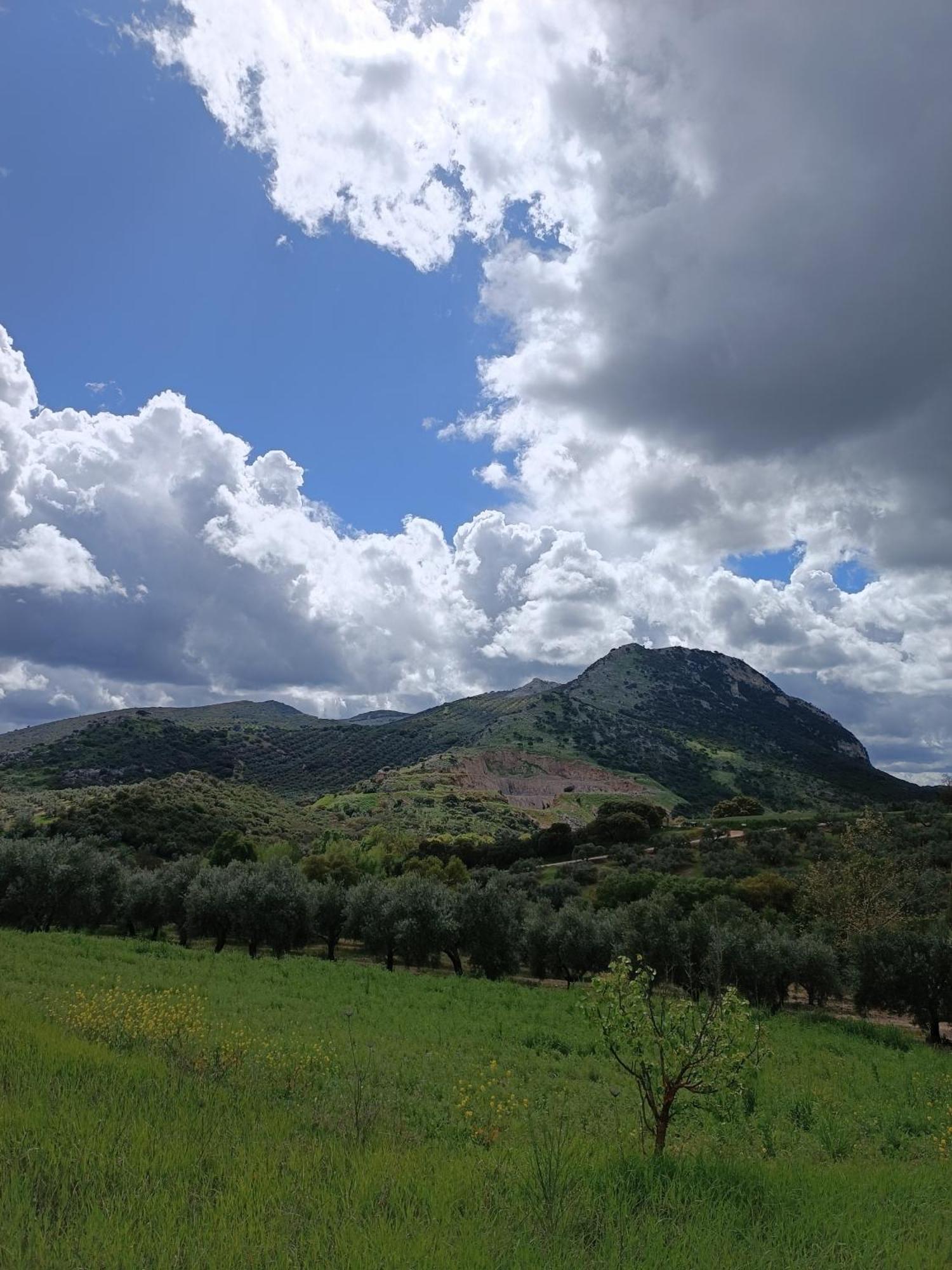 Cortijo Petra Bed & Breakfast Villanueva del Rosario ภายนอก รูปภาพ