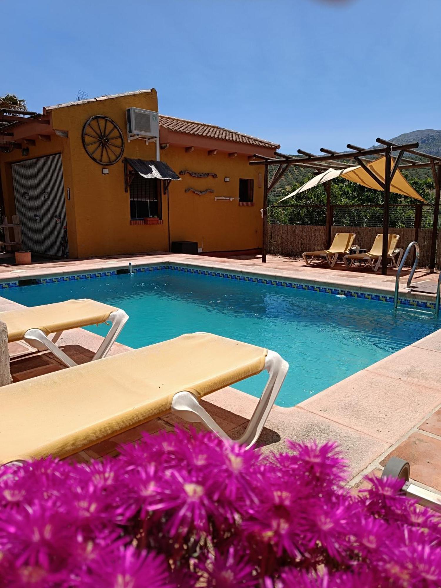 Cortijo Petra Bed & Breakfast Villanueva del Rosario ภายนอก รูปภาพ